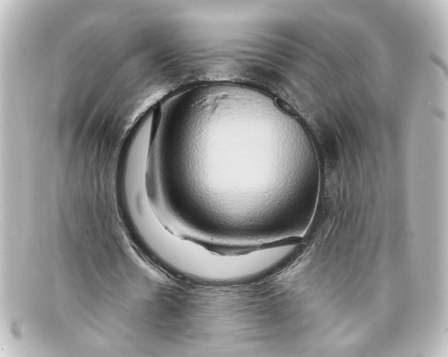 X0000098130530200805081000