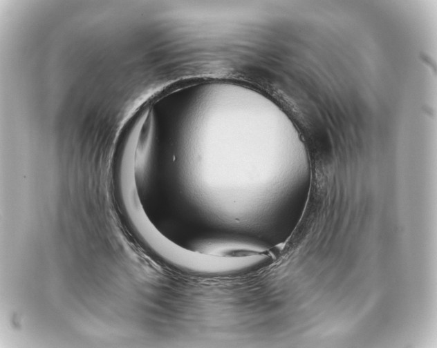 X0000098130532200805081000