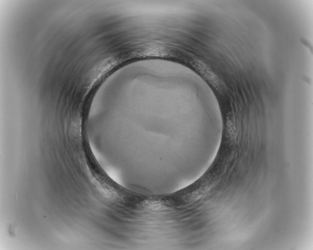 X0000098130534200805081000