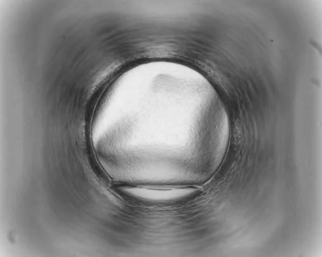 X0000098130535200805081000