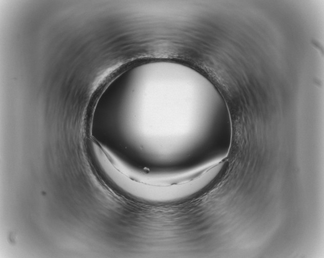X0000098130536200805081000