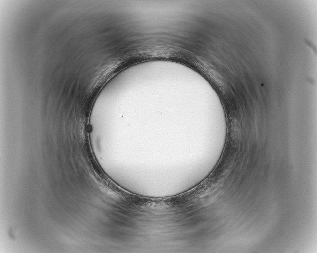 X0000098130537200805081000