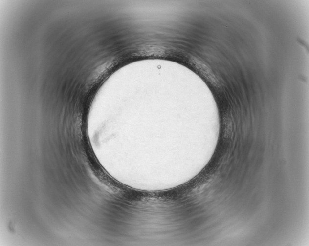 X0000098130538200805081000