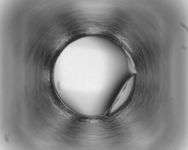 X0000098130539200805081000