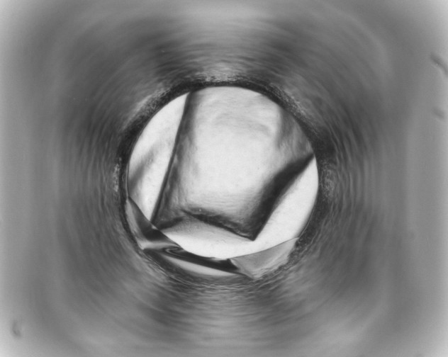 X0000098130543200805081000
