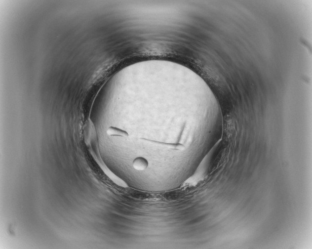 X0000098130544200805081000