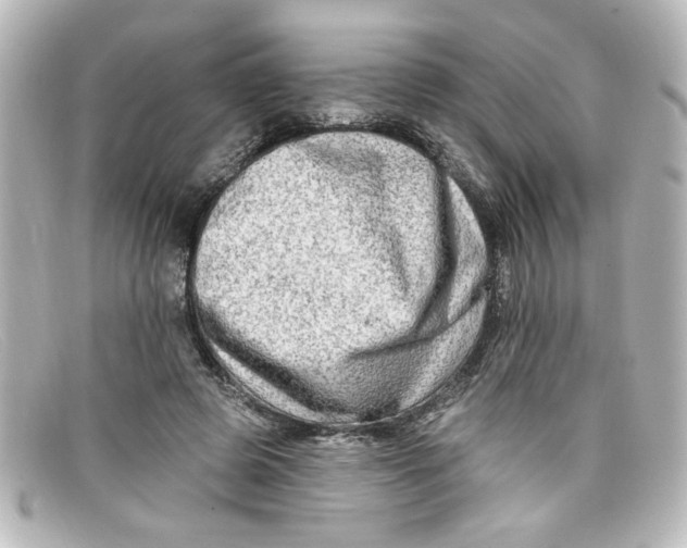 X0000098130545200805081000