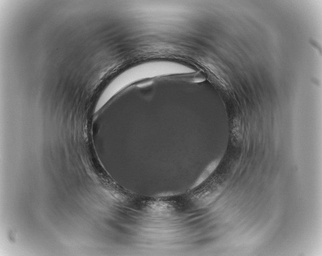 X0000098130547200805081000