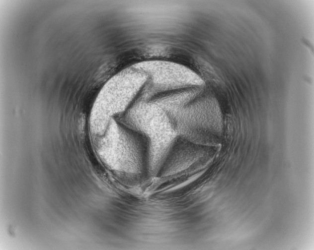 X0000098130550200805081000