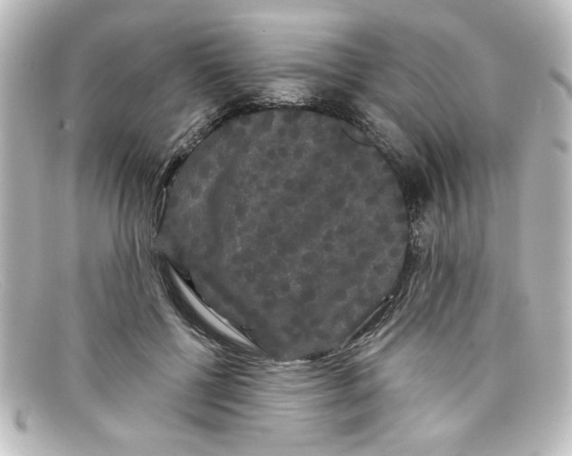X0000098130552200805081001