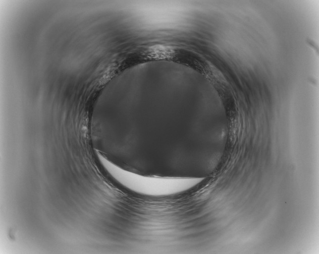 X0000098130553200805081001