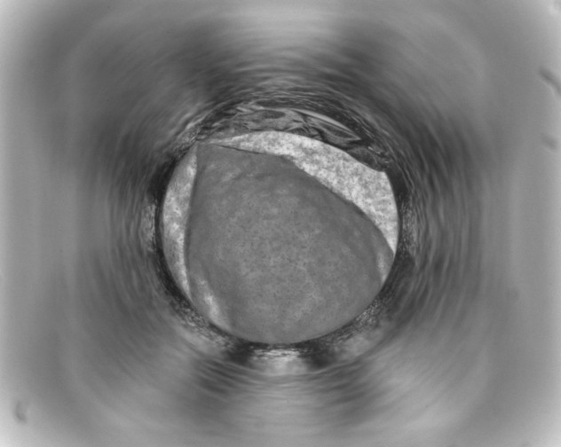 X0000098130554200805081001