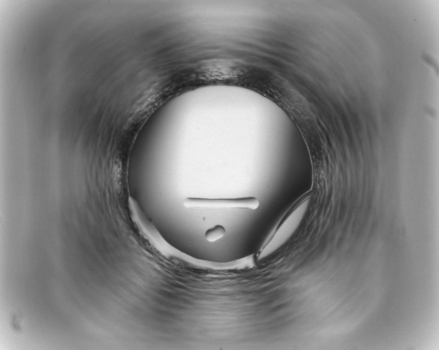 X0000098130556200805081001