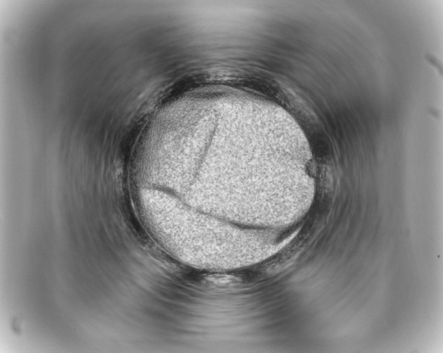 X0000098130557200805081001