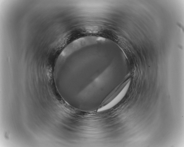 X0000098130559200805081001