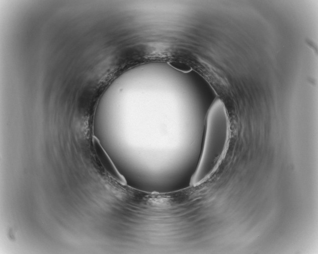 X0000098130560200805081001