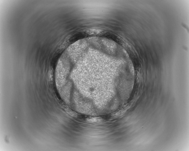 X0000098130561200805081001