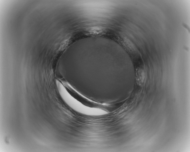X0000098130563200805081001