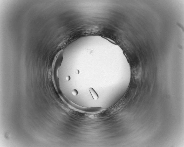 X0000098130564200805081001