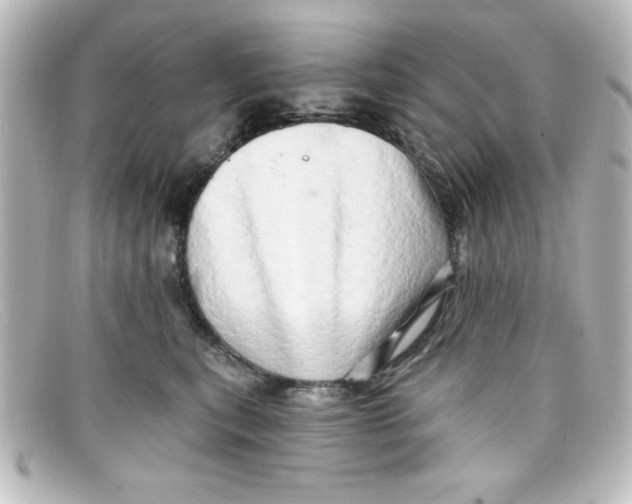 X0000098130567200805081001
