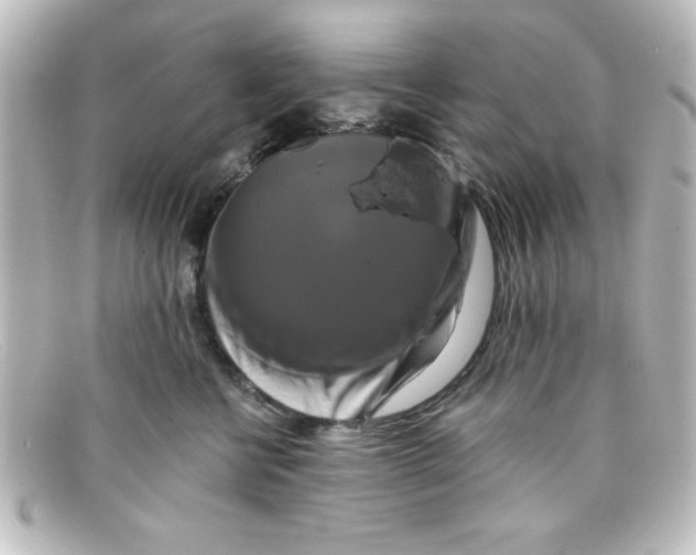 X0000098130570200805081001