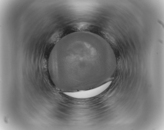 X0000098130571200805081001