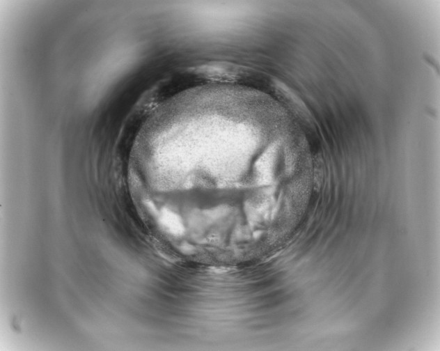 X0000098130573200805081001