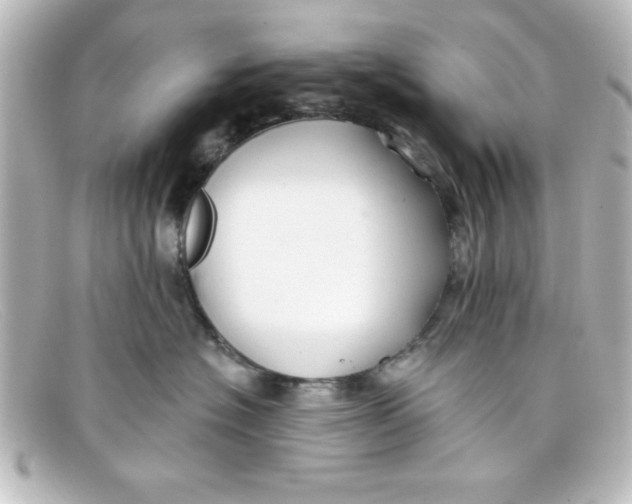 X0000098130574200805081001