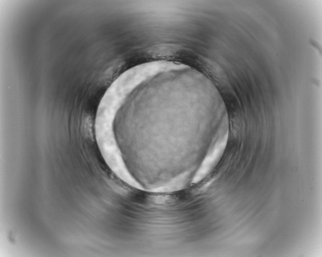 X0000098130575200805081001
