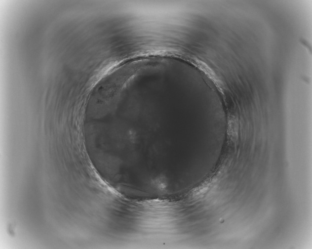 X0000098130577200805081000