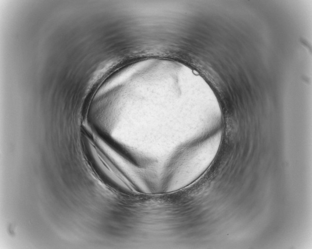 X0000098130578200805081000