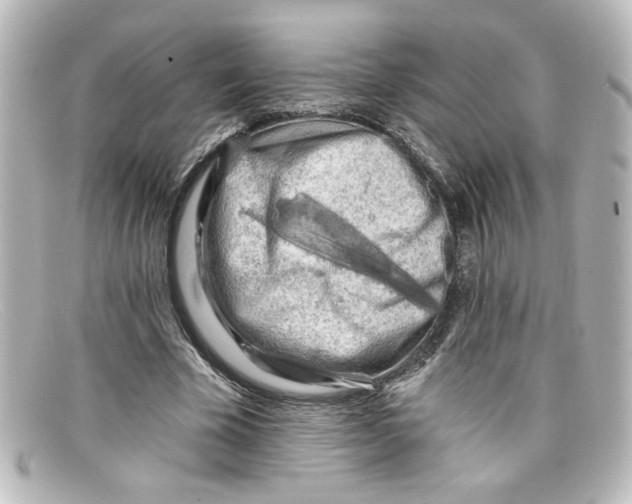 X0000098130585200805081000