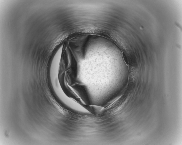 X0000098130589200805081000