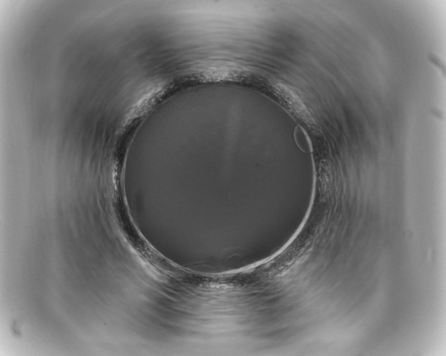 X0000098130590200805081000