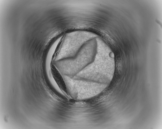X0000098130591200805081000
