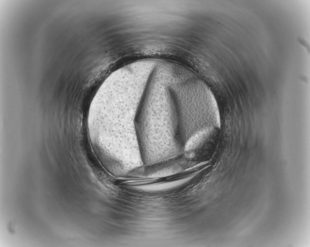 X0000098130592200805081000