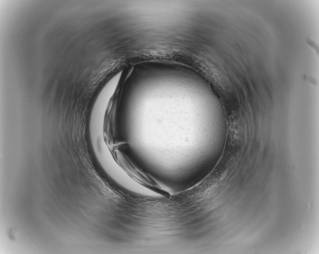X0000098130593200805081000