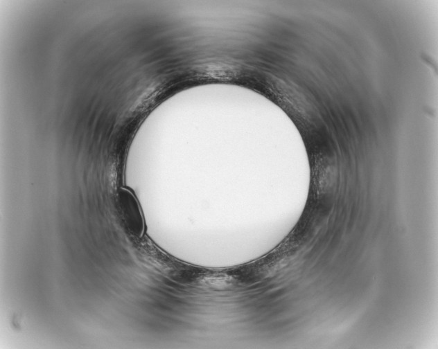 X0000098130595200805081000