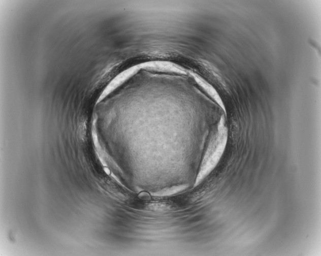 X0000098130596200805081000