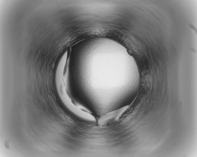 X0000098130597200805081000