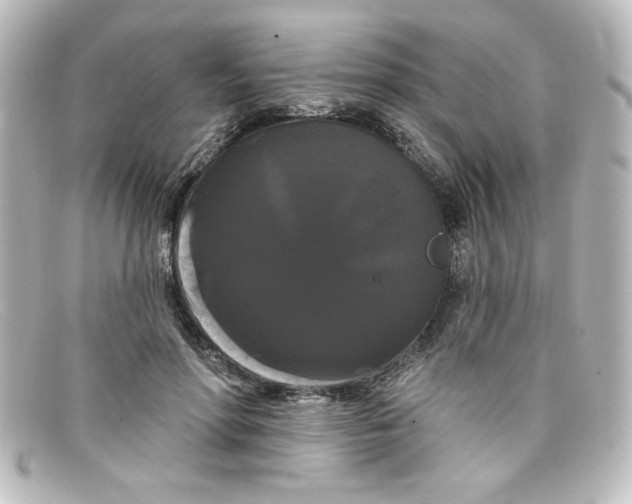 X0000098130598200805081000