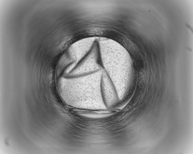 X0000098130600200805081000