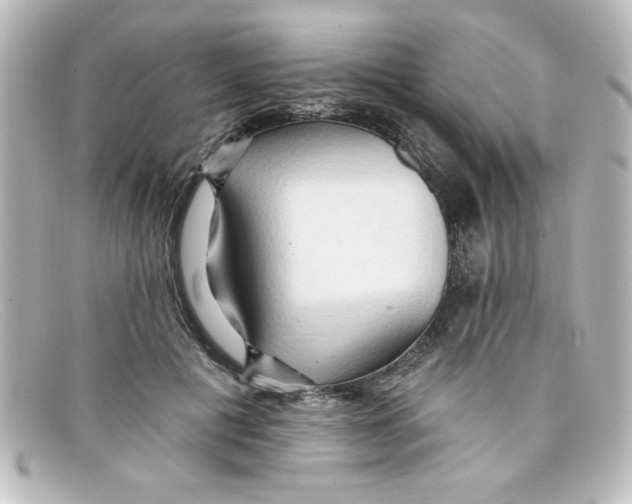X0000098130601200805081000