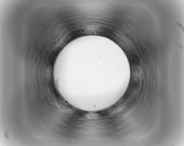 X0000098130603200805081000