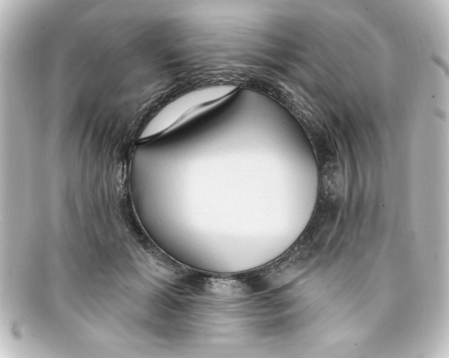 X0000098130605200805081000