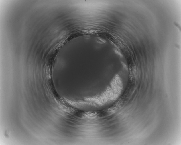 X0000098130606200805081000