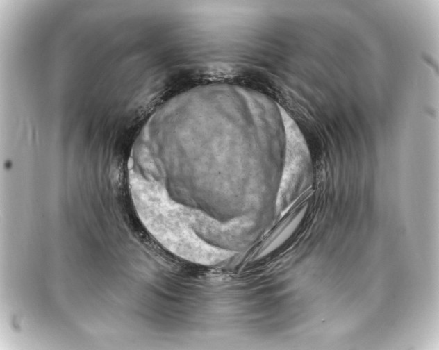 X0000098130608200805081000