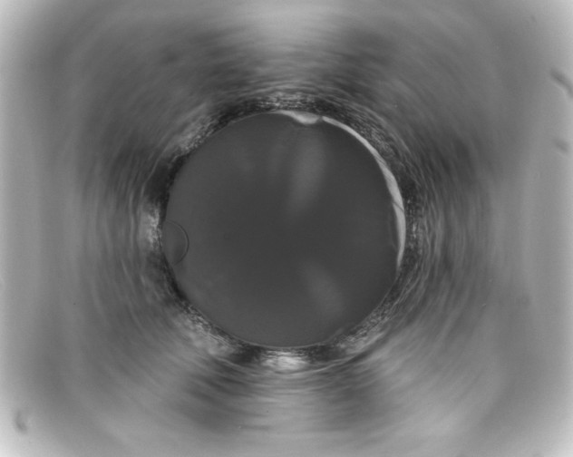 X0000098130610200805081000