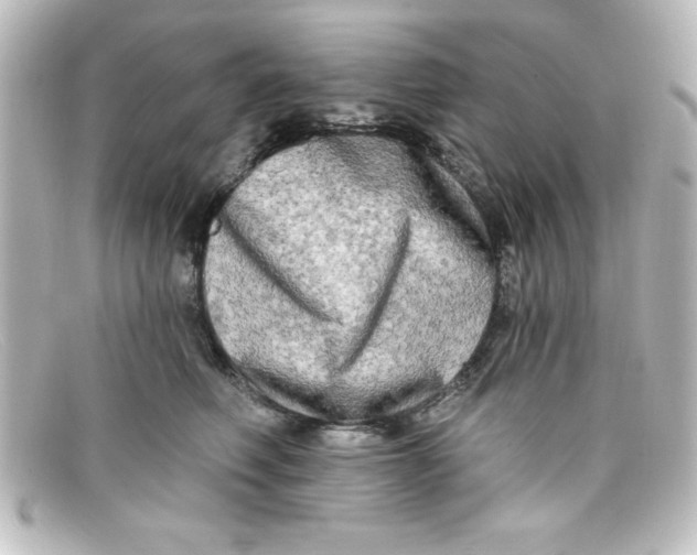 X0000098130614200805081000