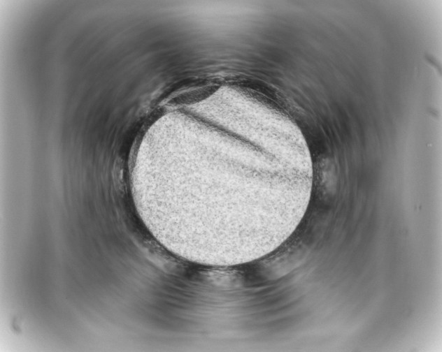 X0000098130615200805081000
